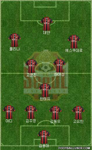 FC Seoul Formation 2012