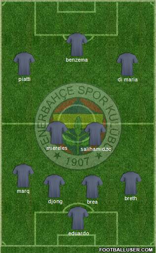 Fenerbahçe SK Formation 2012