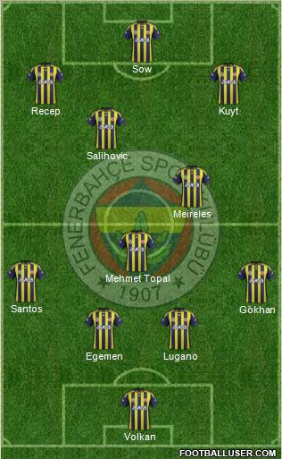 Fenerbahçe SK Formation 2012