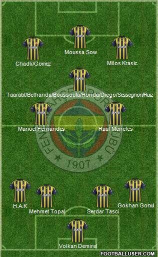 Fenerbahçe SK Formation 2012