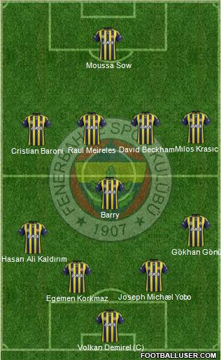 Fenerbahçe SK Formation 2012