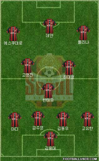 FC Seoul Formation 2012