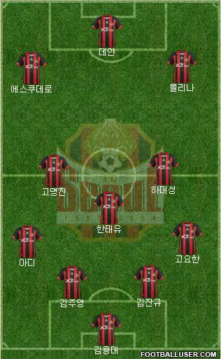 FC Seoul Formation 2012