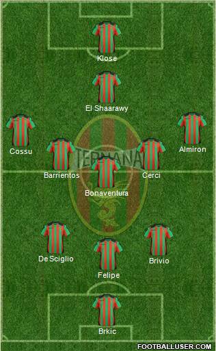 Ternana Formation 2012