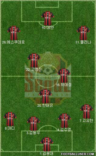 FC Seoul Formation 2012