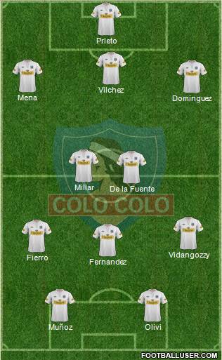 CSD Colo Colo Formation 2012