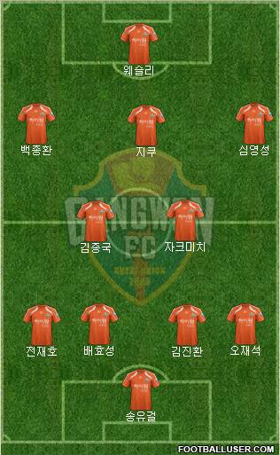 Gangwon FC Formation 2012