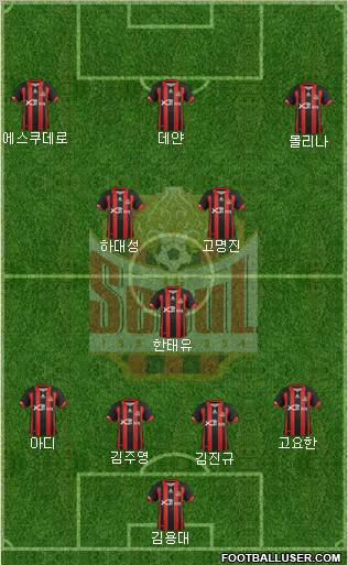 FC Seoul Formation 2012