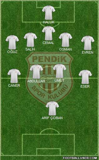 Pendikspor Formation 2012