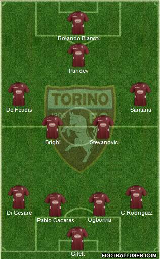 Torino Formation 2012