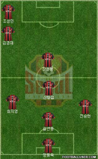 FC Seoul Formation 2012