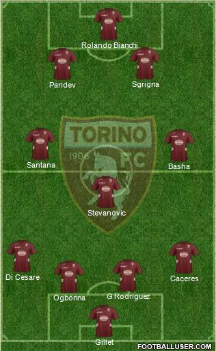 Torino Formation 2012