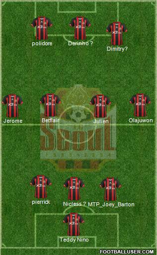 FC Seoul Formation 2012