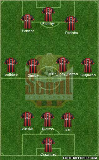 FC Seoul Formation 2012