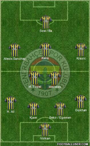 Fenerbahçe SK Formation 2012