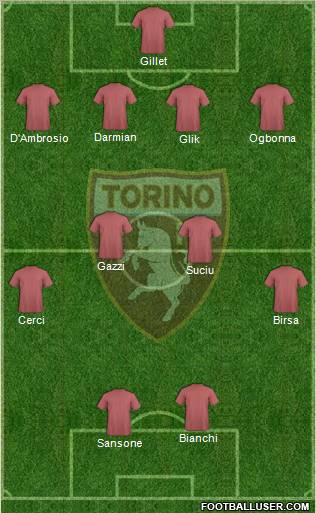 Torino Formation 2013