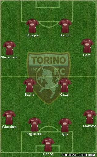 Torino Formation 2013