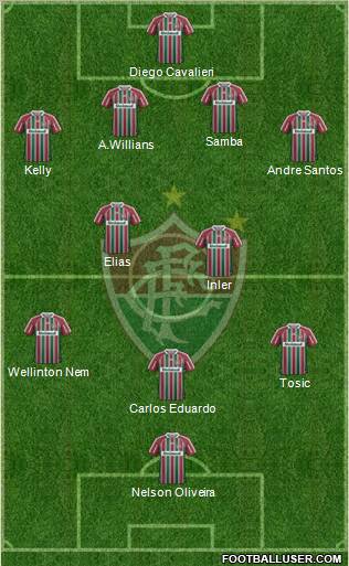 Fluminense FC Formation 2013