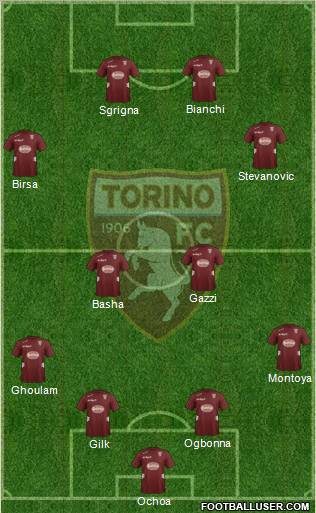 Torino Formation 2013