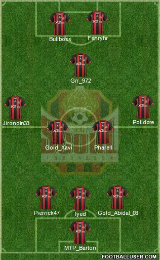 FC Seoul Formation 2013