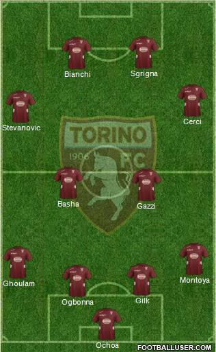 Torino Formation 2013