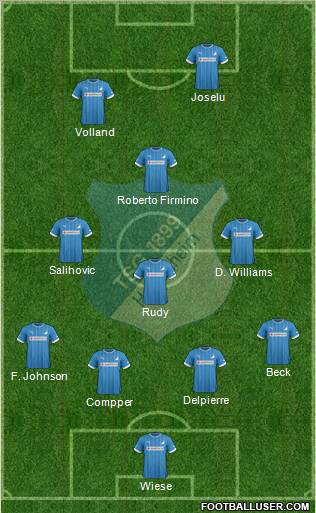 TSG 1899 Hoffenheim Formation 2013