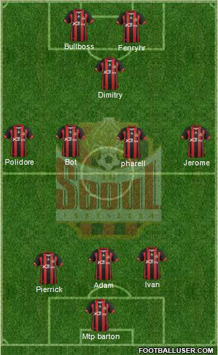 FC Seoul Formation 2013