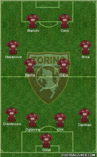 Torino Formation 2013