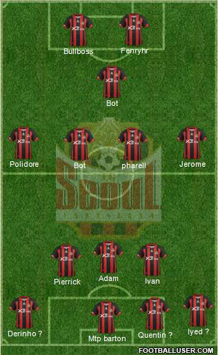 FC Seoul Formation 2013