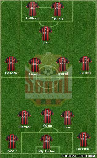 FC Seoul Formation 2013