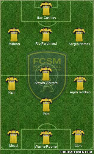 FC Sochaux-Montbéliard Formation 2013