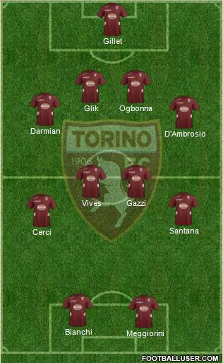 Torino Formation 2013