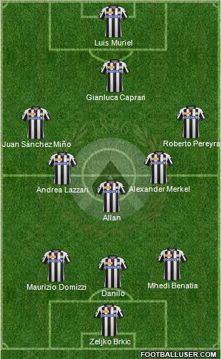 Udinese Formation 2013