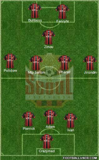 FC Seoul Formation 2013