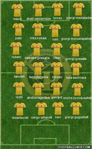 BSC Young Boys Formation 2013