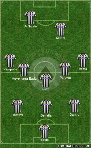 Udinese Formation 2013