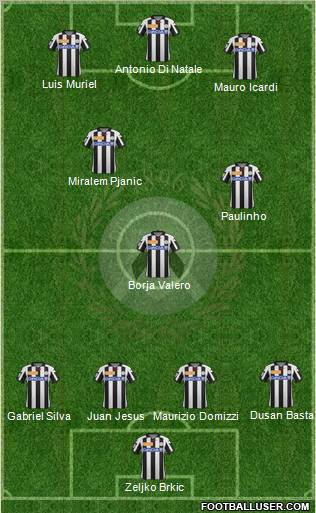 Udinese Formation 2013