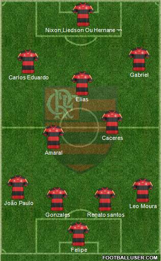 CR Flamengo Formation 2013