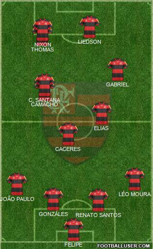 CR Flamengo Formation 2013