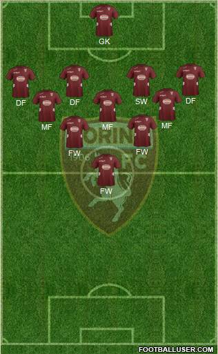 Torino Formation 2013