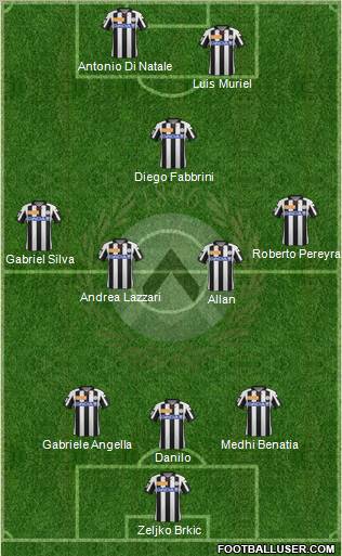 Udinese Formation 2013