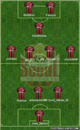 FC Seoul Formation 2013