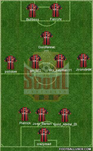 FC Seoul Formation 2013