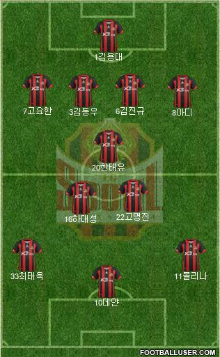 FC Seoul Formation 2013