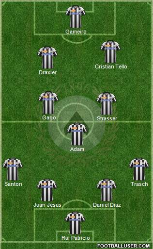 Udinese Formation 2013