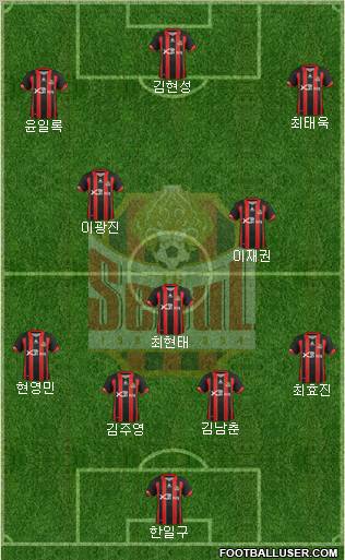 FC Seoul Formation 2013