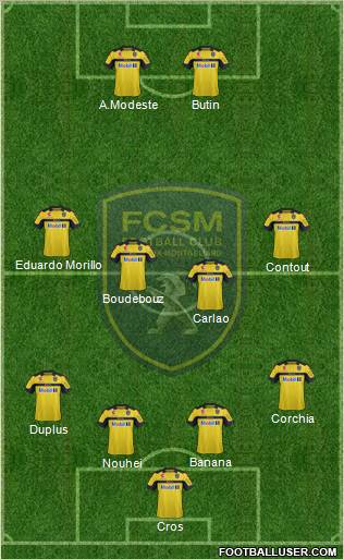 FC Sochaux-Montbéliard Formation 2013