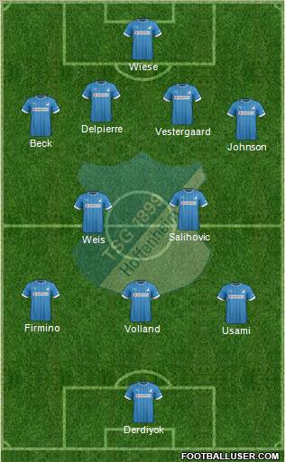 TSG 1899 Hoffenheim Formation 2013