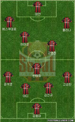 FC Seoul Formation 2013