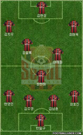 FC Seoul Formation 2013